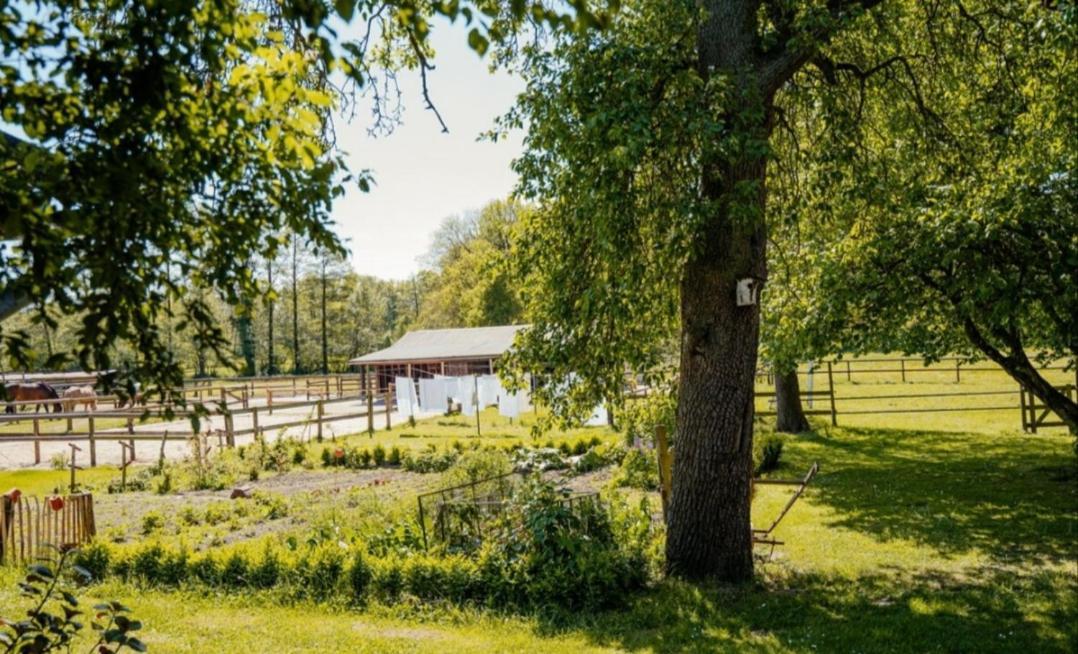Ferienhof Trapp Ellringen Extérieur photo
